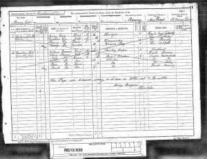 1891 Census