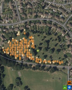 BAC97AE1-B589-4E16-8973-258CD97EB225