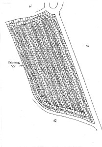 Cemetery Plan