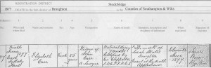 Elizabeth Carr nee Foot Death Certificate 1877