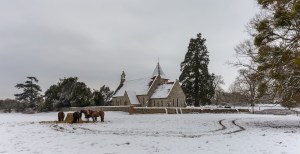 Copyright belongs to Mark Green, MG Photography