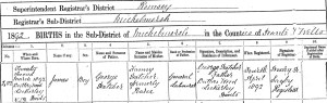 James Hatcher Birth Certificate