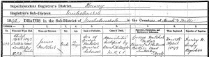 James Hatcher Death Certificate
