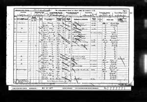1901 census