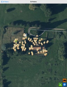 5E9A1BD9-C796-42FB-B121-6CD491F60743