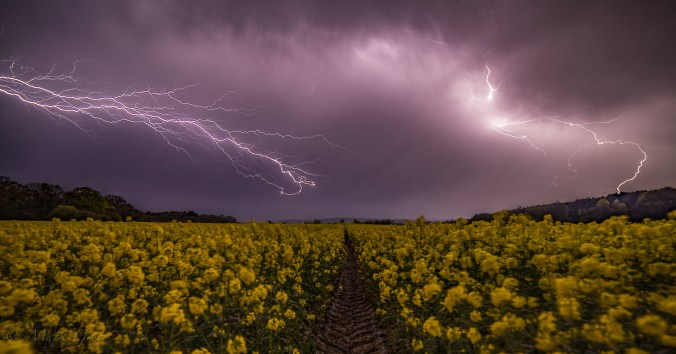 ©️Mark_MG_Photography