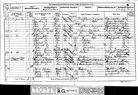 Susan Mary Ann Lagden, 1861 Census
