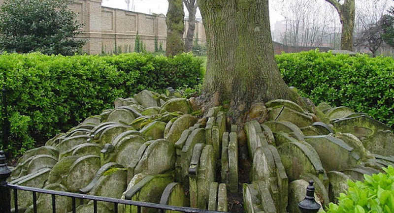 Eleanor Mary Kirby – Update | Intwined