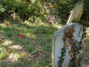 E78A4168-4AF2-47A8-A6F7-935281D5462A