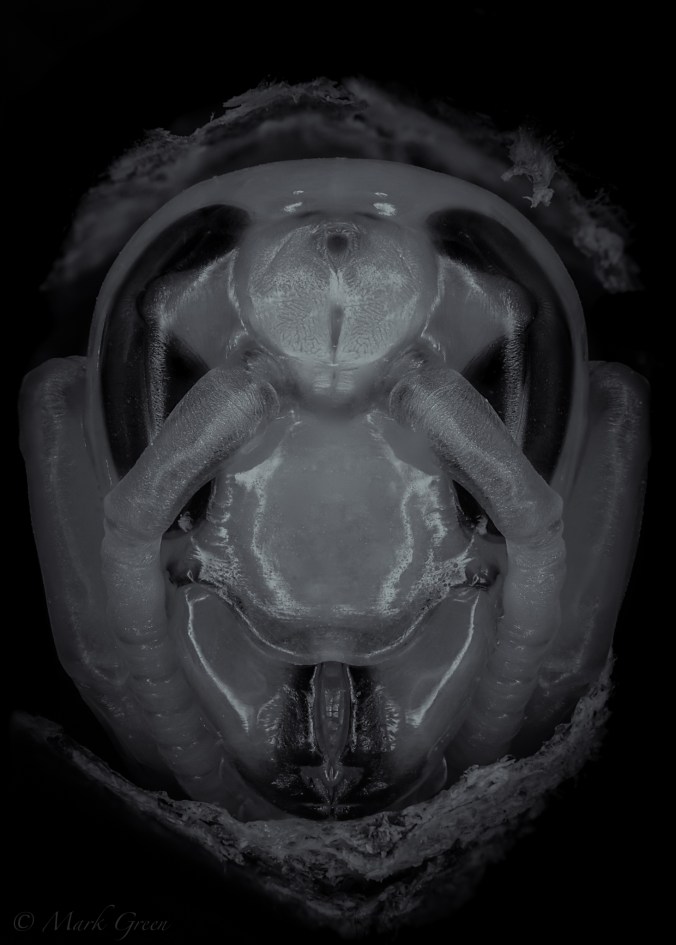 ©️Mark_MG_Photography