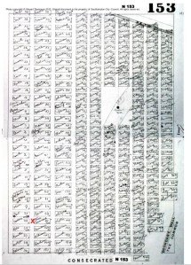 DCAAC7ED-54C7-4297-8103-429296363337