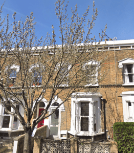 Screen Shot 2018-12-11 at 09.20.25