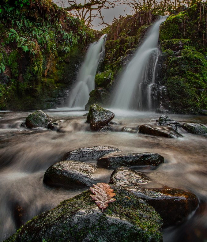 ©️Mark_MG_Photography