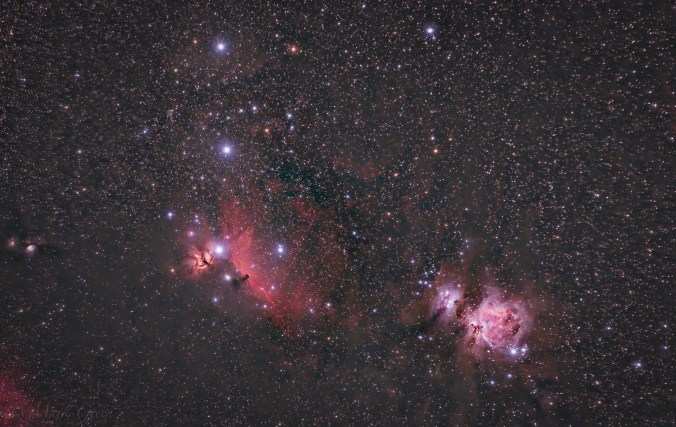 ©️mark_mg_photography