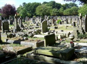 Hollybrook_Cemetery_-_geograph.org.uk_-_868978