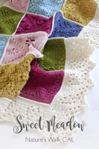 33BB82D8-5862-48EB-A25B-8699593834B1