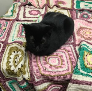 9F988340-4BFF-4A35-AFDC-323582FD21F5