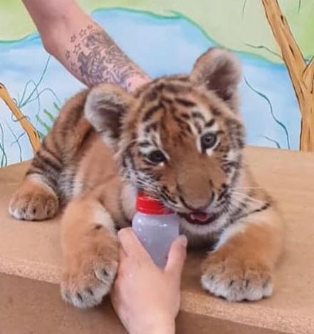 65867796_869692913397800_3887137448047673344_o