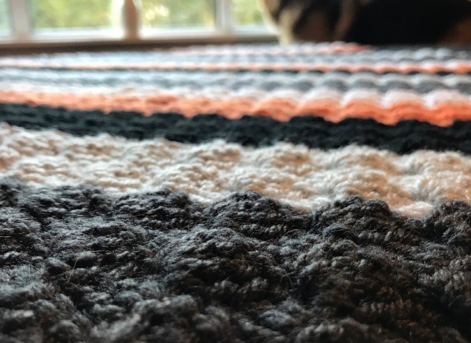 04349AD5-76F5-44AB-905A-D445C02ED346