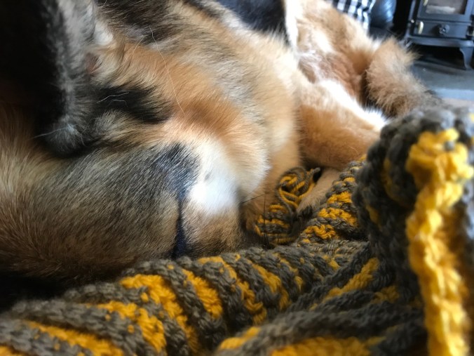 AC532F0F-A9D9-418D-A978-21DCDC56B94C